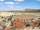 Full Size Image