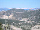 Full Size Image