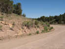 Full Size Image