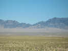 Full Size Image