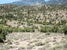 Full Size Image