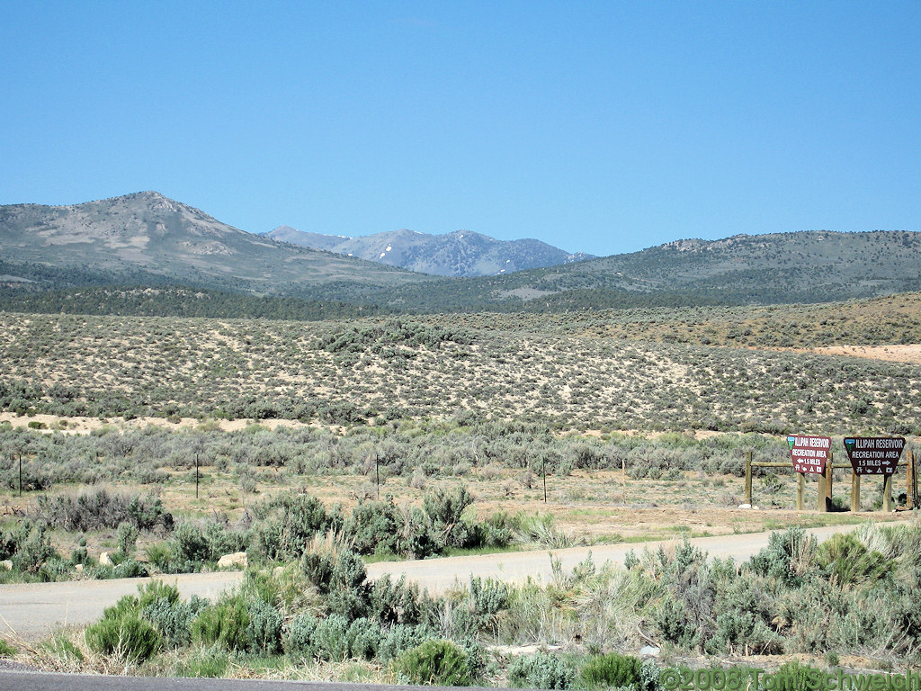 Nevada, White Pine County, Hamilton