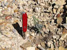 Full Size Image