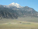Full Size Image