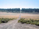 Full Size Image