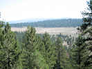Full Size Image