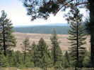 Full Size Image