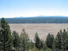 Full Size Image