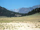 Full Size Image