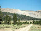 Full Size Image