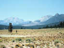 Full Size Image