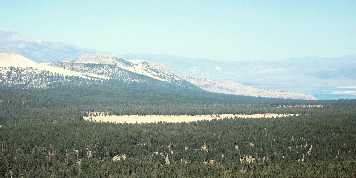 Californa, Mono County, Bald Mountain