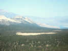 Full Size Image