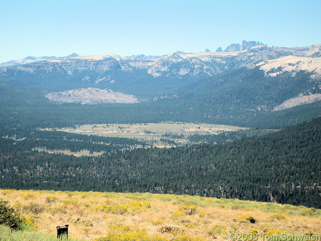 Californa, Mono County, Bald Mountain