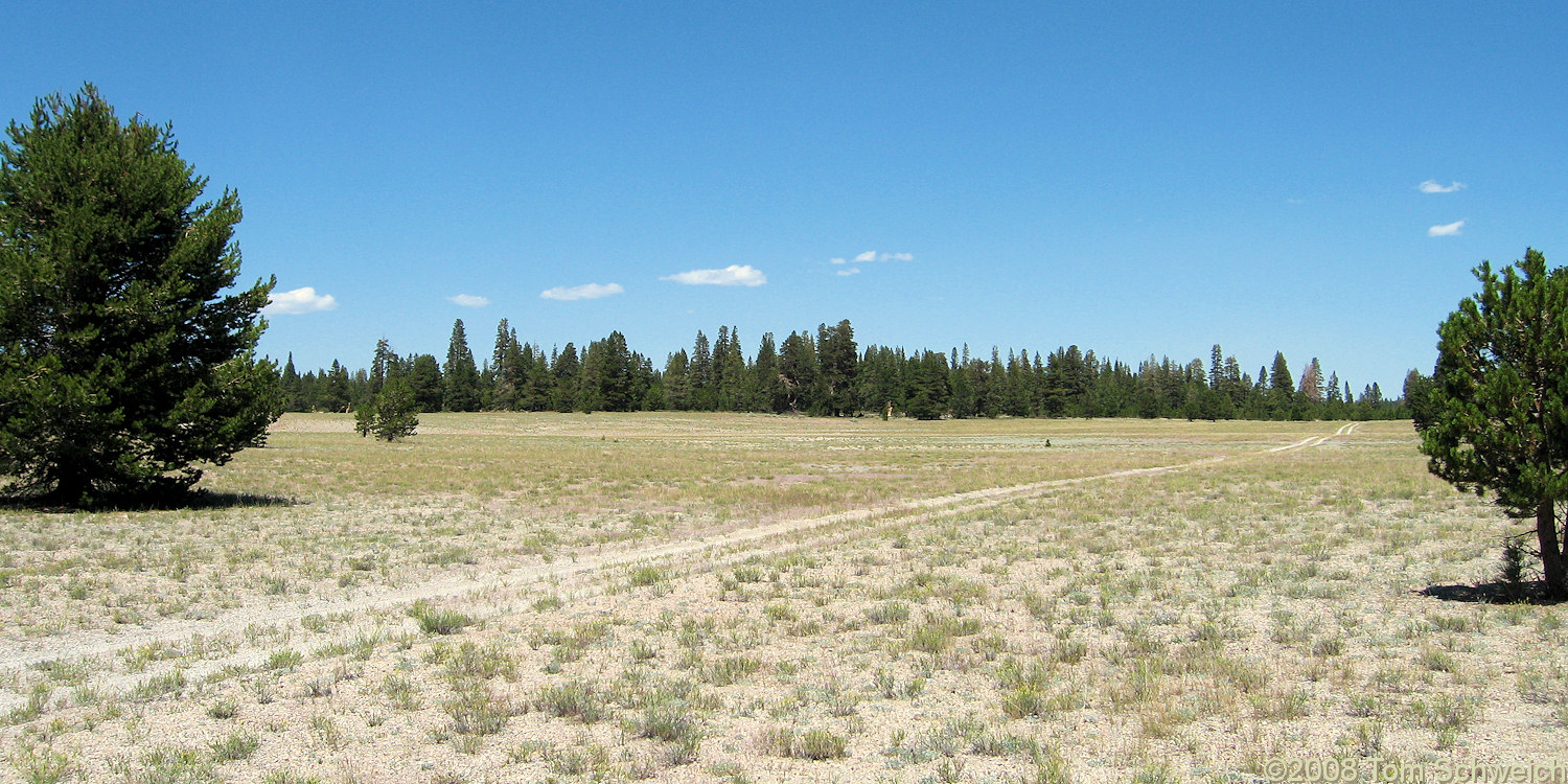 Californa, Mono County, Mono Lake basin, Little Sand Flat