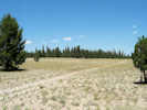 Full Size Image