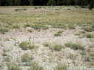 Full Size Image