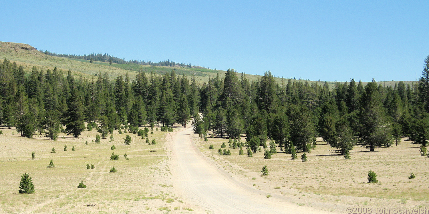 Californa, Mono County, Crooked Meadows