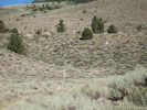 Full Size Image
