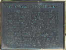 Full Size Image