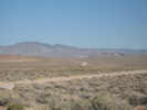 Full Size Image