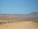 Full Size Image