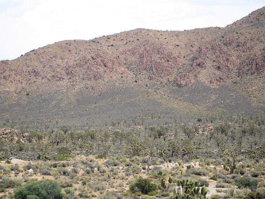 California, San Bernardino, Cima Dome