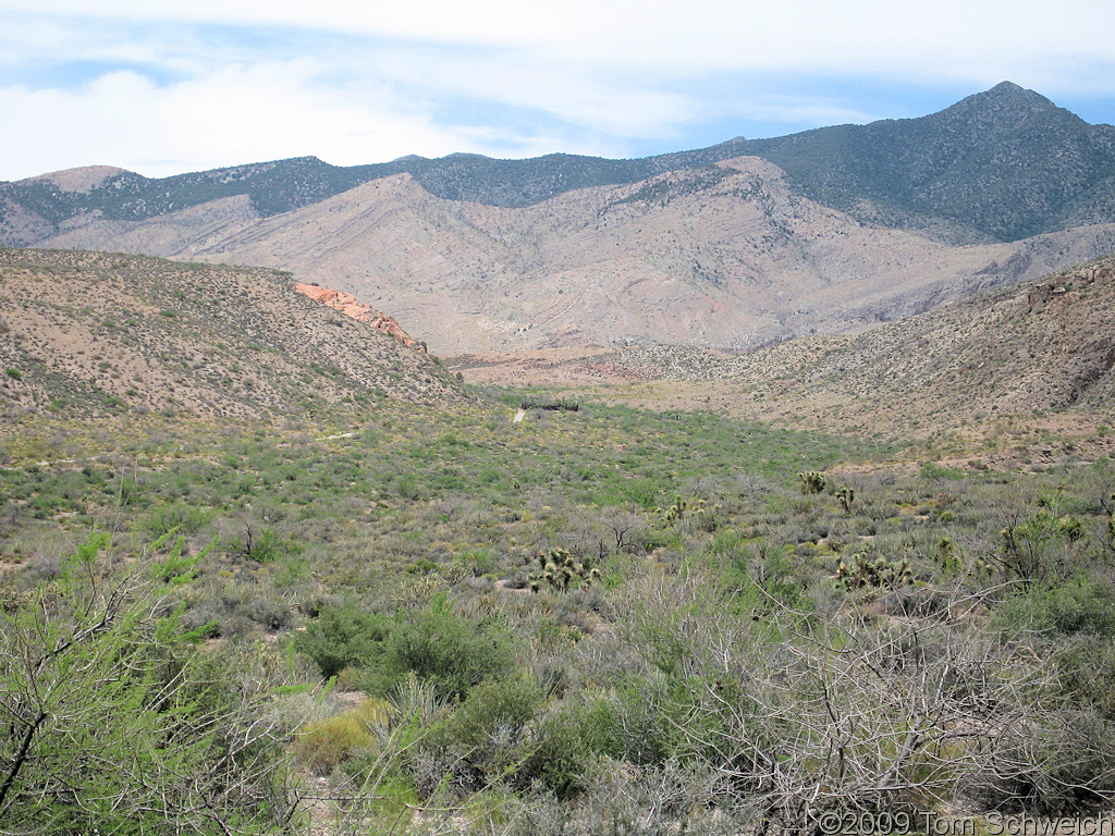 Nay Canyon, Virgin Mountains, Clark County, California