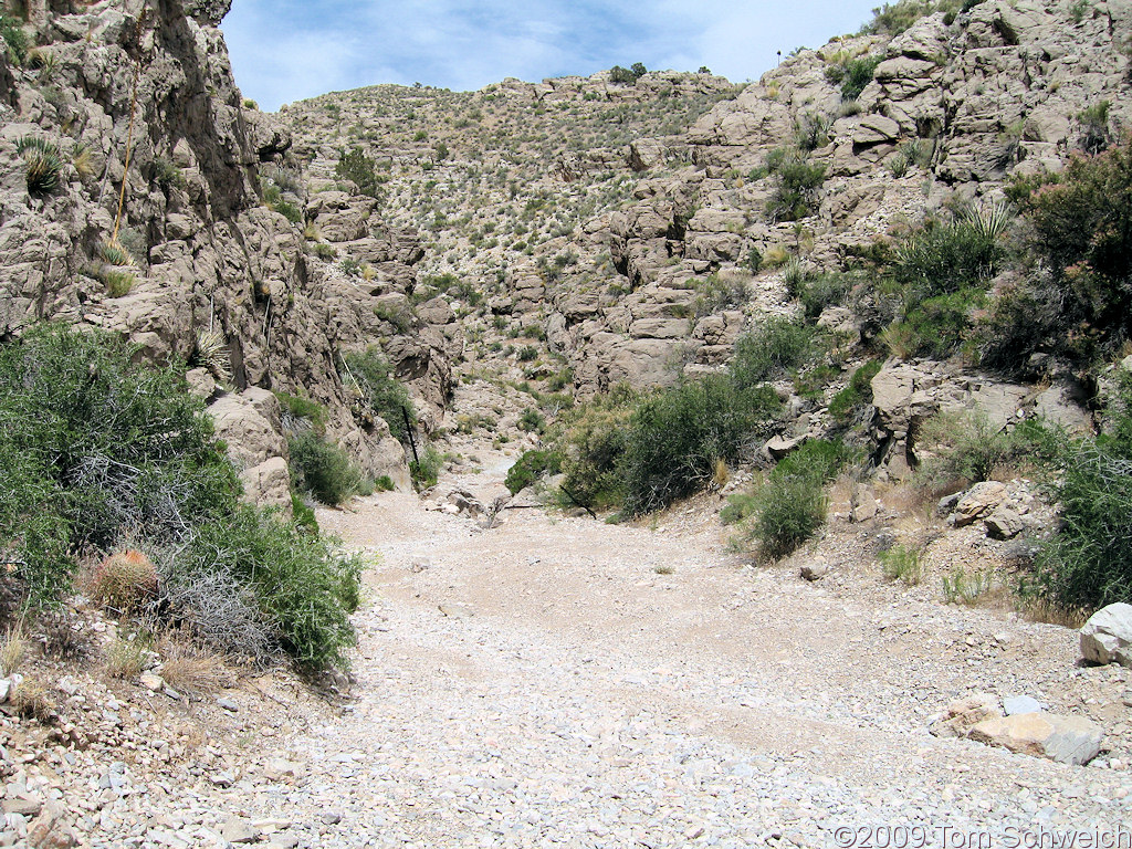Nay Canyon, Virgin Mountains, Clark County, Nevada