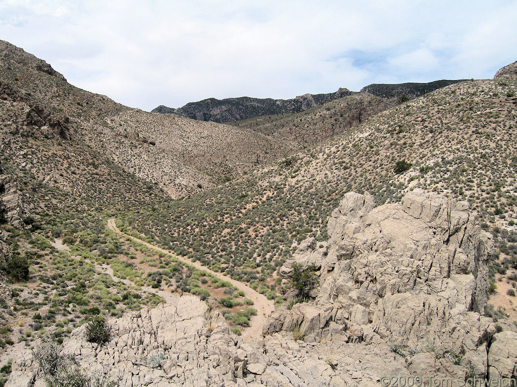 Nay Canyon, Virgin Mountains, Clark County, Nevada