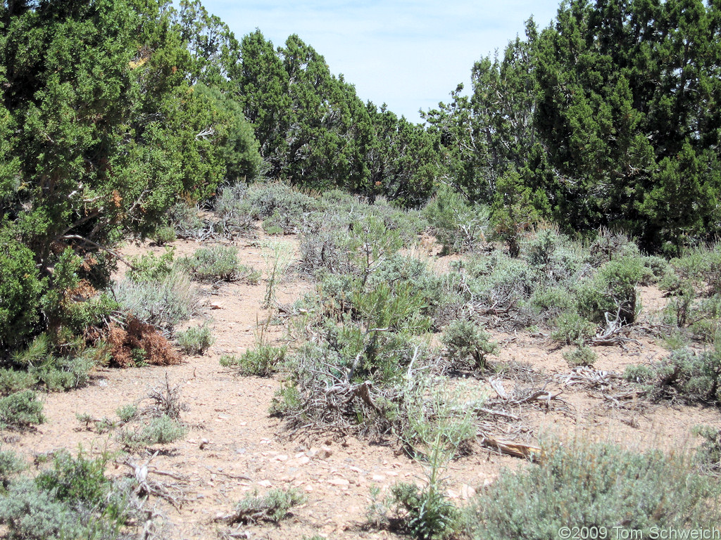 Bristol Pass, Lincoln County, Nevada