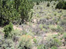 Full Size Image