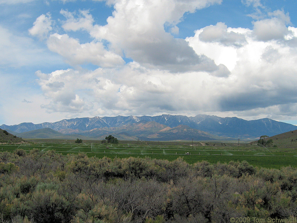White Pine Range, Nye County, Nevada
