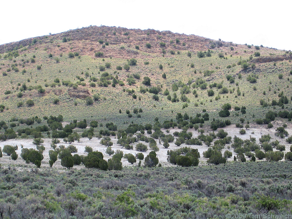 White River, White Pine County, Nevada