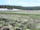Full Size Image