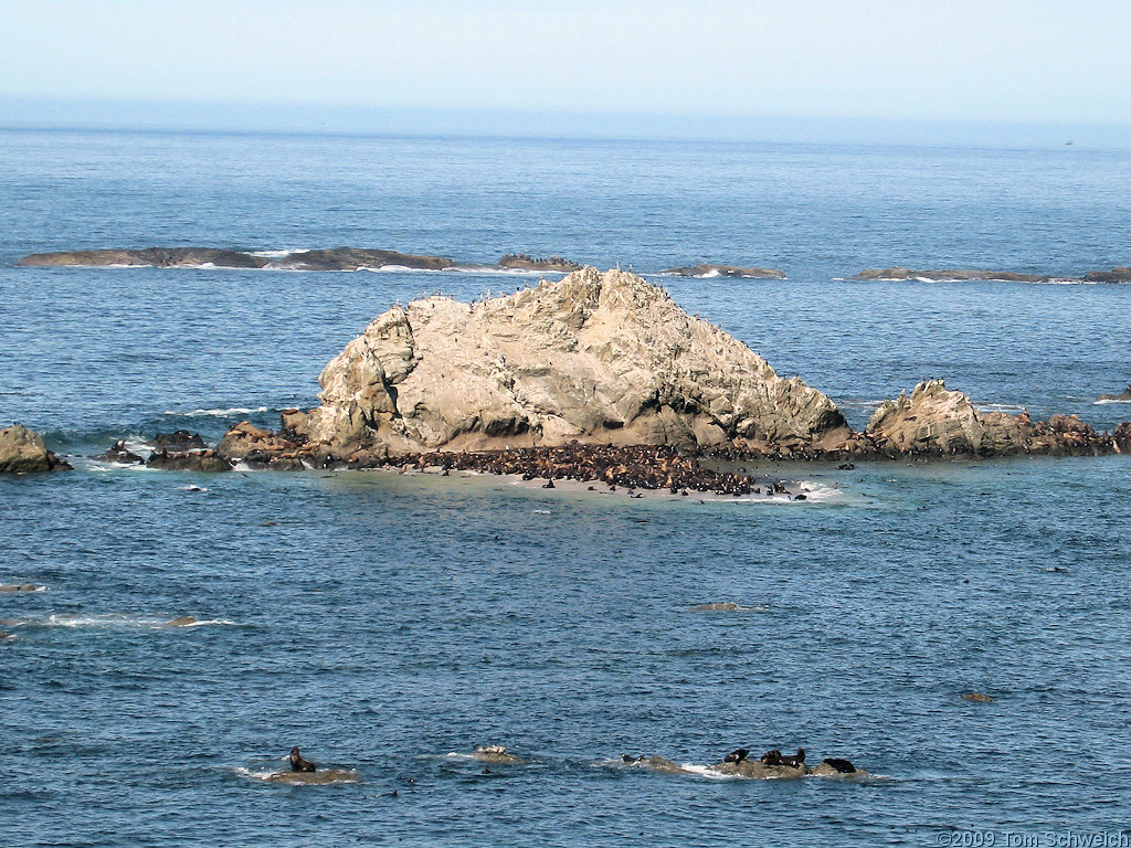 Simpson Reef, Coos County, Oregon