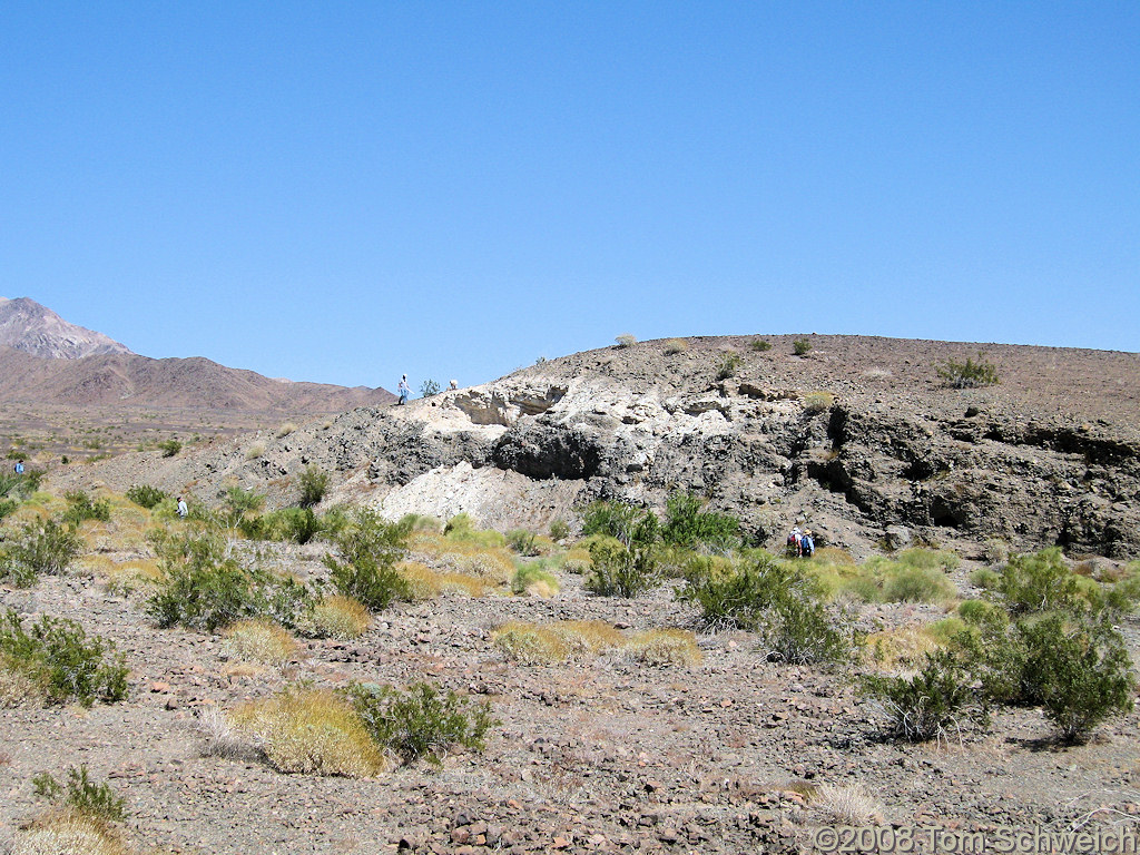 California, San Bernardino County, Bristol Lake, Bouse Formation
