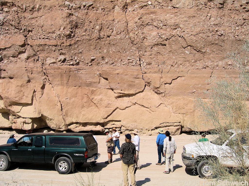California, San Diego County, Anza Borrego State Park, Fish Creek