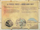 Full Size Image