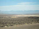 Full Size Image