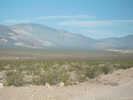 Full Size Image