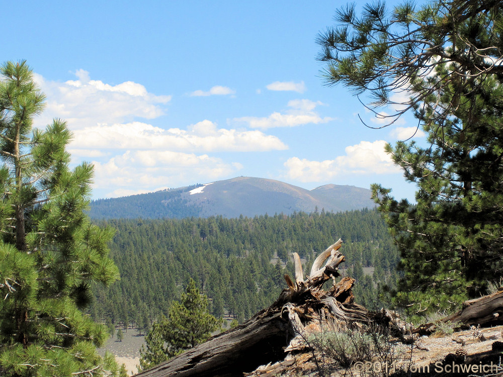 California, Mono County, Bald Mountain