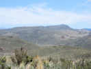 Full Size Image