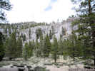 Full Size Image