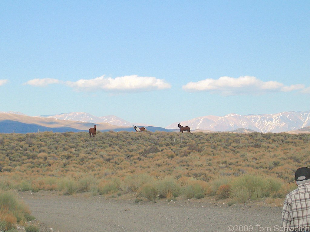 California, Mono County, Long Valley