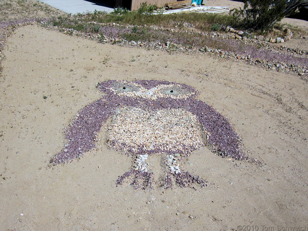 California, San Bernardino County, Owl Canyon