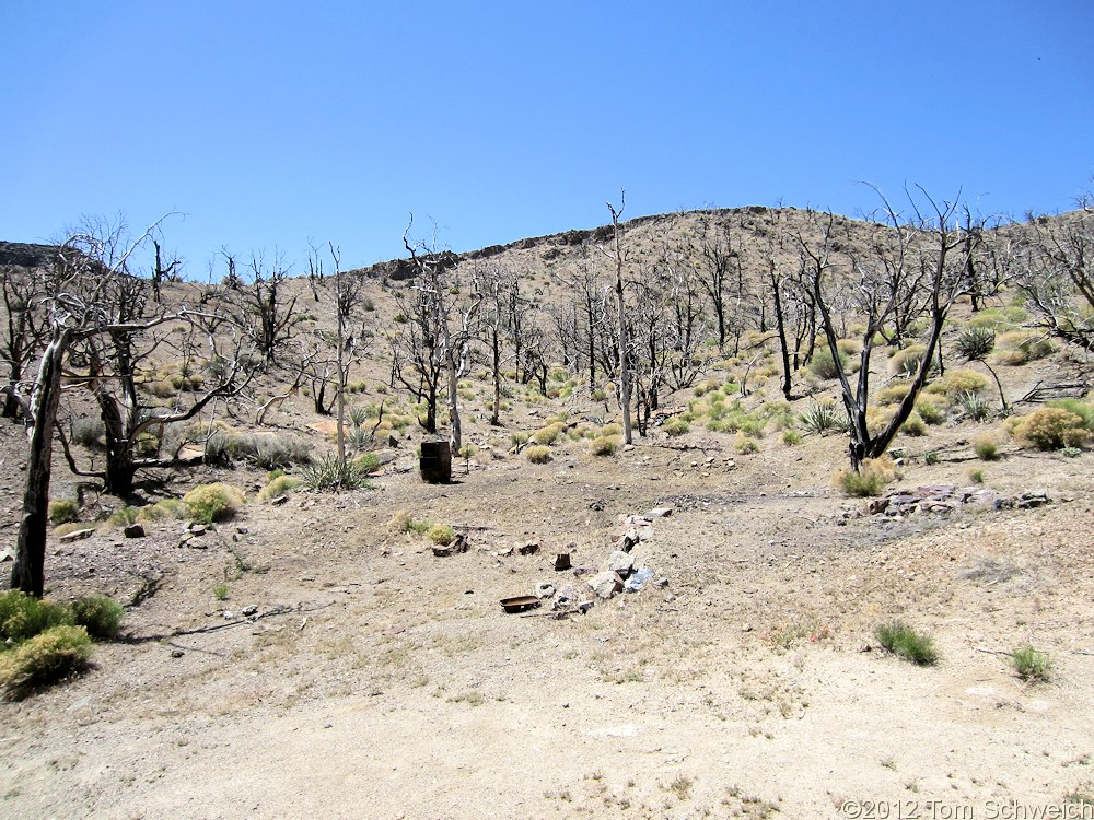 California, San Bernardino County, Winkler's Cabin