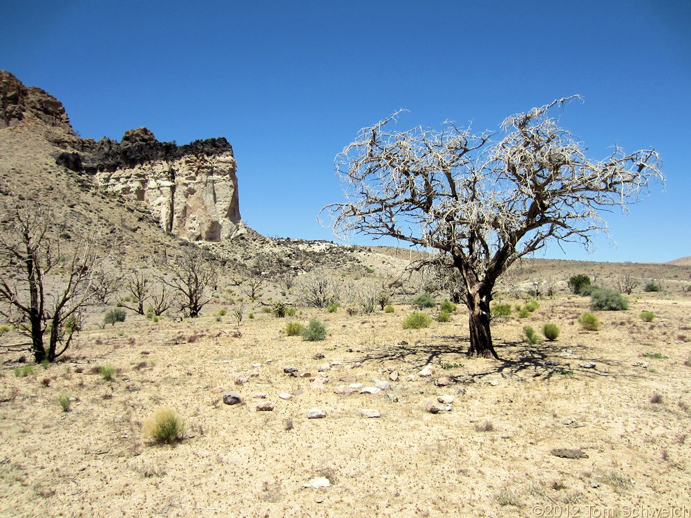 California, San Bernardino County, Lobo Point