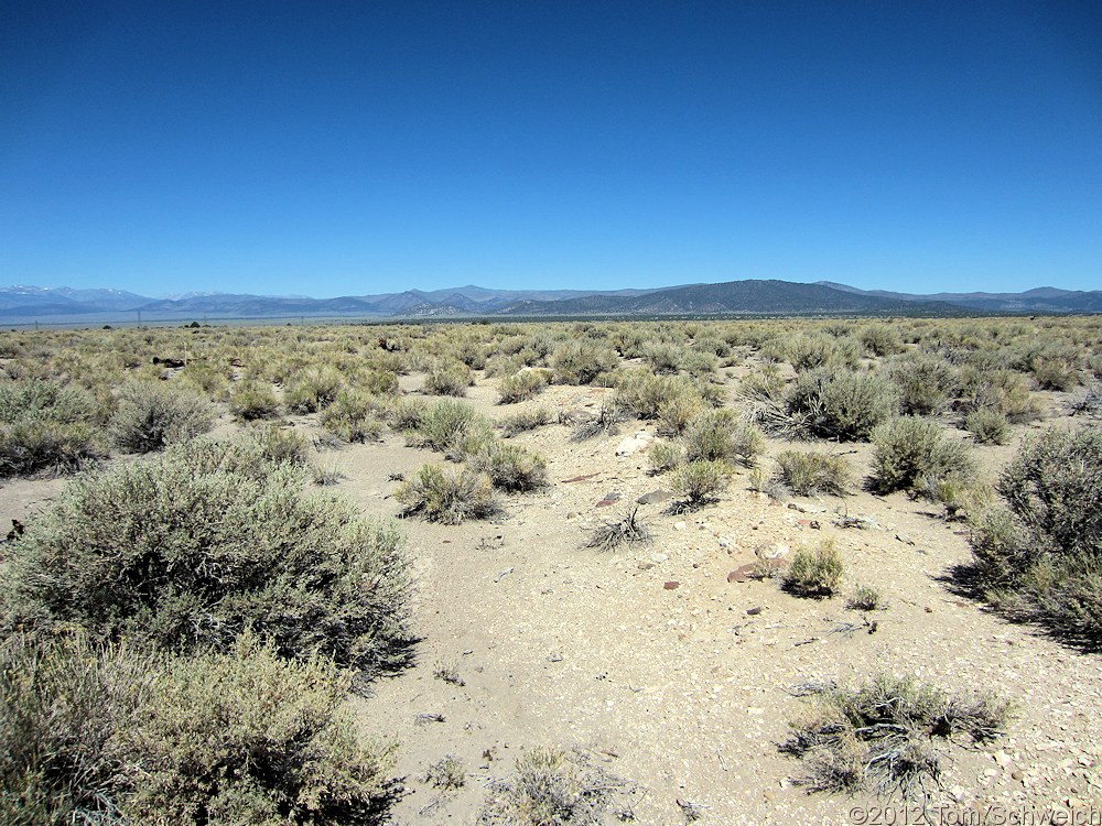 California, Mono County, Mono Valley