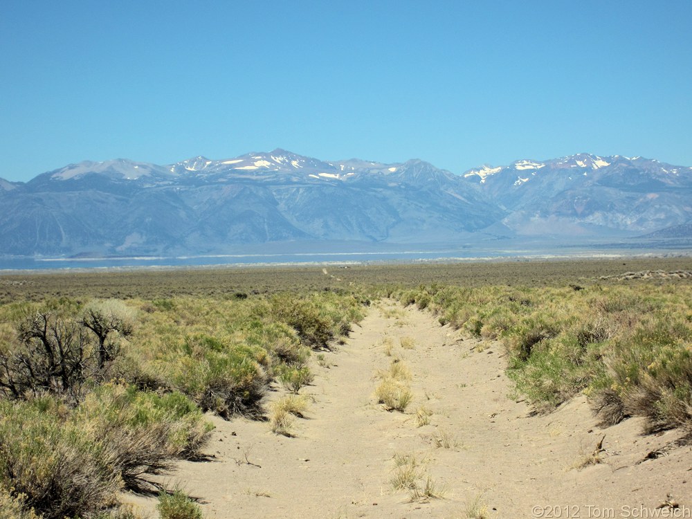 California, Mono County, Mono Valley